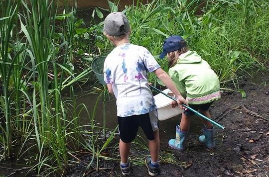 Wetland Ecology