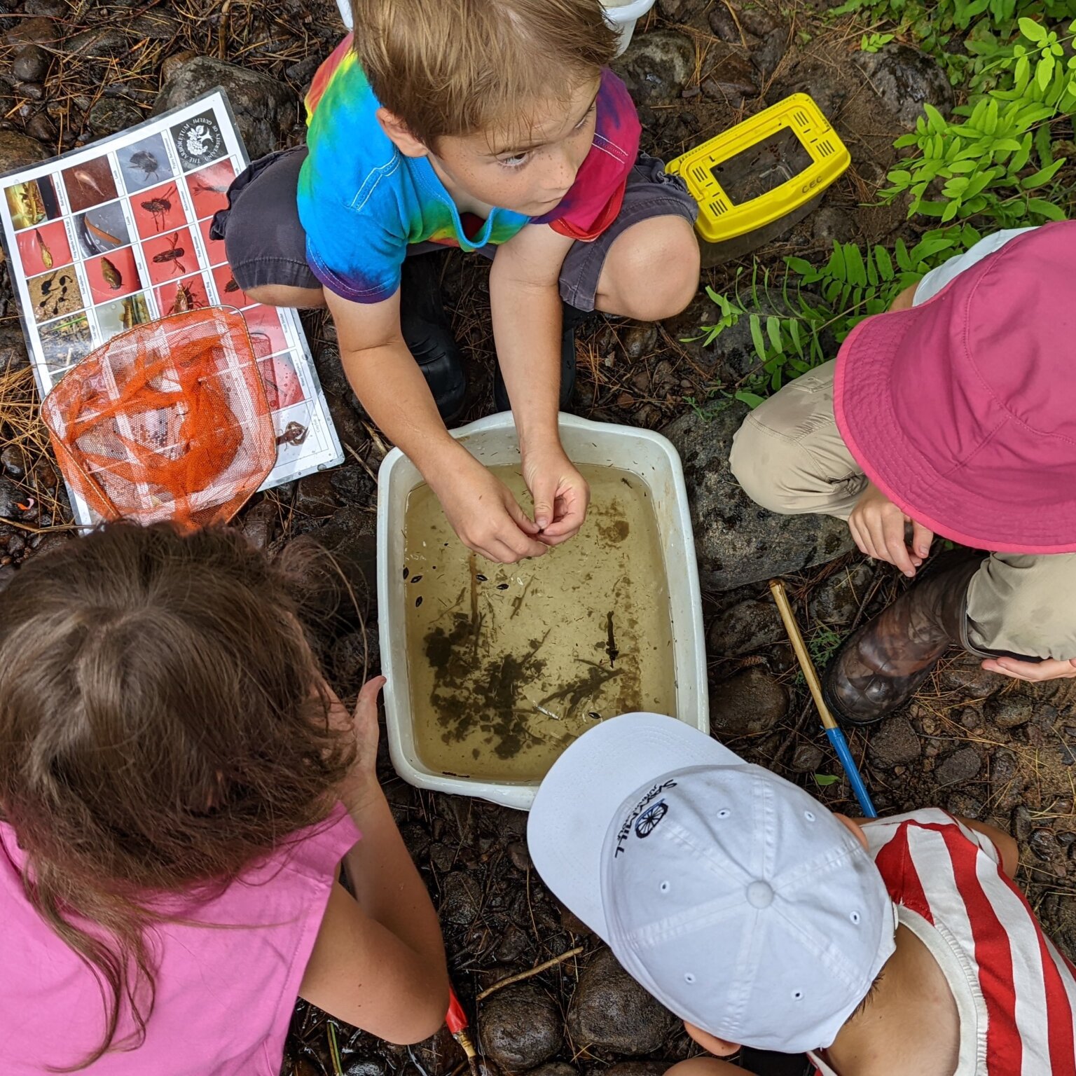 The Canadian Ecology Centre | A natural choice for experiential ...